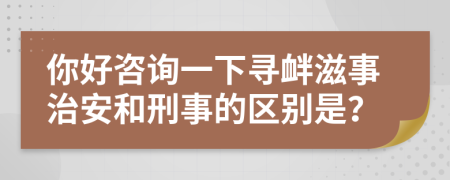 你好咨询一下寻衅滋事治安和刑事的区别是？
