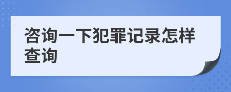 咨询一下犯罪记录怎样查询
