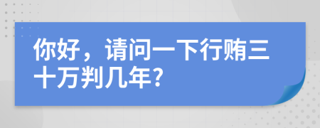 你好，请问一下行贿三十万判几年?