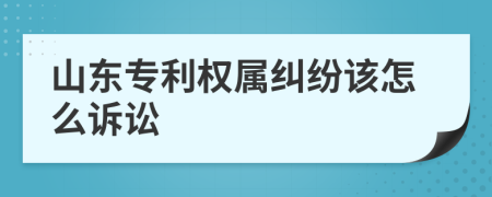 山东专利权属纠纷该怎么诉讼
