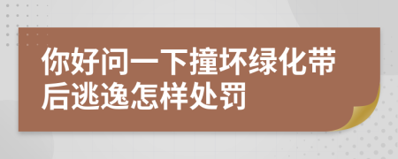 你好问一下撞坏绿化带后逃逸怎样处罚