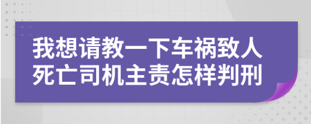 我想请教一下车祸致人死亡司机主责怎样判刑