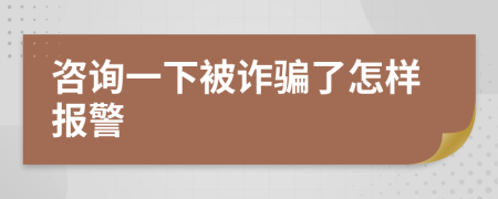咨询一下被诈骗了怎样报警