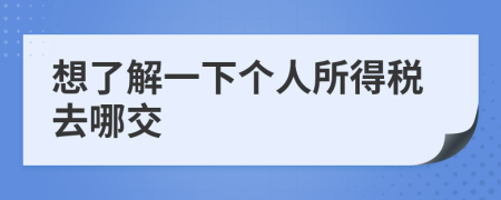 想了解一下个人所得税去哪交