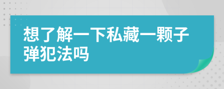 想了解一下私藏一颗子弹犯法吗