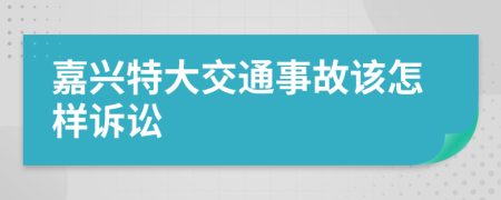 嘉兴特大交通事故该怎样诉讼