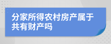 分家所得农村房产属于共有财产吗