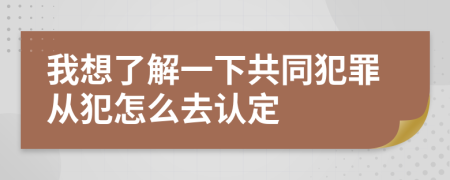 我想了解一下共同犯罪从犯怎么去认定