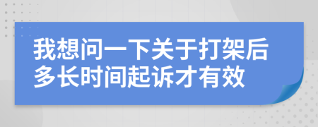 我想问一下关于打架后多长时间起诉才有效