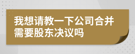 我想请教一下公司合并需要股东决议吗