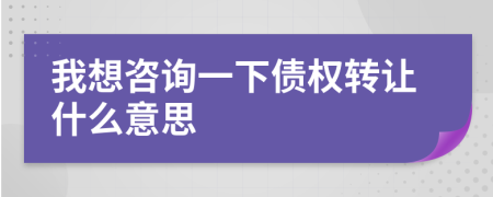 我想咨询一下债权转让什么意思