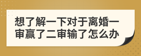 想了解一下对于离婚一审赢了二审输了怎么办
