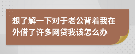 想了解一下对于老公背着我在外借了许多网贷我该怎么办
