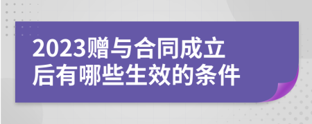 2023赠与合同成立后有哪些生效的条件