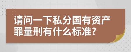 请问一下私分国有资产罪量刑有什么标准?