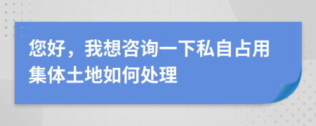 您好，我想咨询一下私自占用集体土地如何处理
