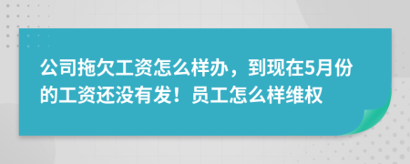 公司拖欠工资怎么样办，到现在5月份的工资还没有发！员工怎么样维权