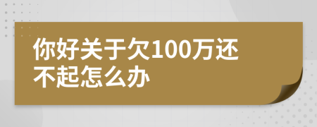 你好关于欠100万还不起怎么办