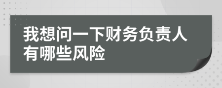 我想问一下财务负责人有哪些风险