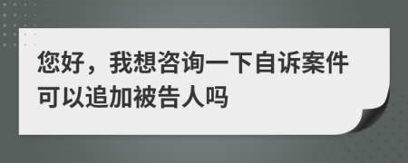 您好，我想咨询一下自诉案件可以追加被告人吗