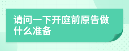 请问一下开庭前原告做什么准备