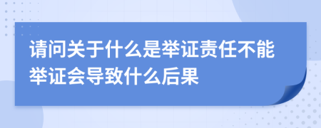 请问关于什么是举证责任不能举证会导致什么后果
