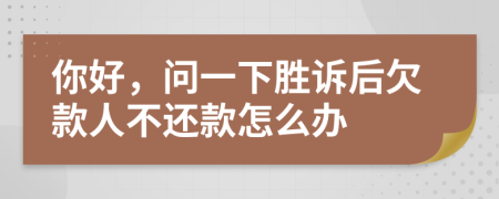 你好，问一下胜诉后欠款人不还款怎么办