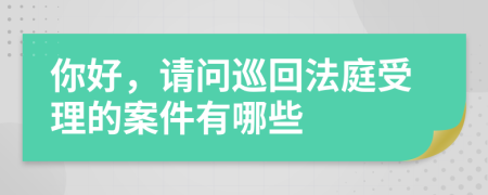你好，请问巡回法庭受理的案件有哪些