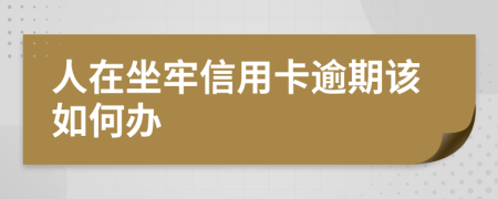人在坐牢信用卡逾期该如何办