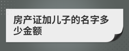 房产证加儿子的名字多少金额