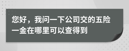 您好，我问一下公司交的五险一金在哪里可以查得到