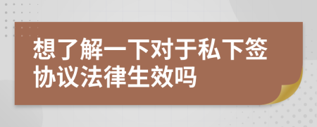 想了解一下对于私下签协议法律生效吗