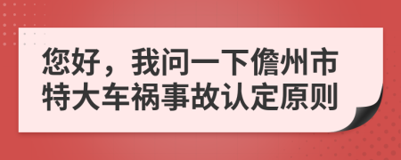 您好，我问一下儋州市特大车祸事故认定原则