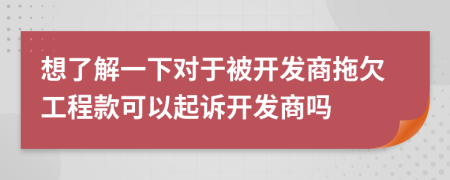 想了解一下对于被开发商拖欠工程款可以起诉开发商吗