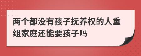 两个都没有孩子抚养权的人重组家庭还能要孩子吗