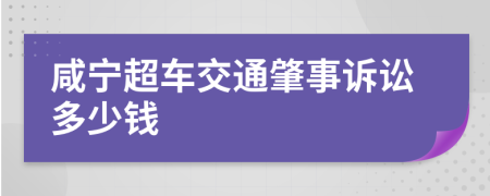 咸宁超车交通肇事诉讼多少钱
