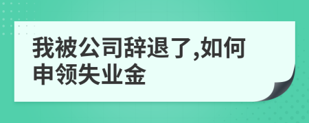 我被公司辞退了,如何申领失业金