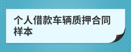 个人借款车辆质押合同样本