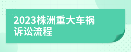 2023株洲重大车祸诉讼流程