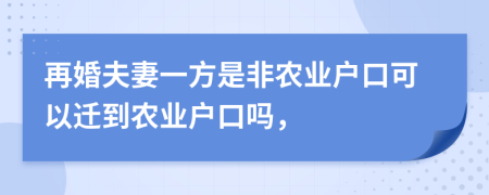 再婚夫妻一方是非农业户口可以迁到农业户口吗，