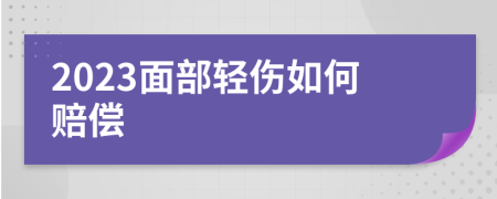 2023面部轻伤如何赔偿