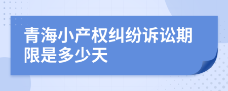青海小产权纠纷诉讼期限是多少天