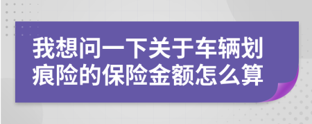 我想问一下关于车辆划痕险的保险金额怎么算