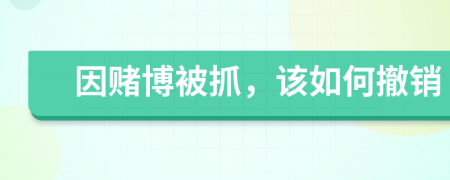 因赌博被抓，该如何撤销