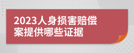 2023人身损害赔偿案提供哪些证据