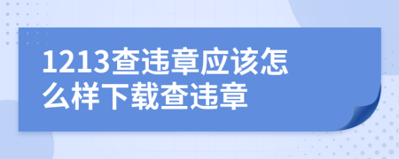 1213查违章应该怎么样下载查违章