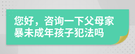 您好，咨询一下父母家暴未成年孩子犯法吗