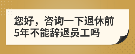 您好，咨询一下退休前5年不能辞退员工吗