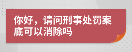 你好，请问刑事处罚案底可以消除吗
