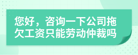 您好，咨询一下公司拖欠工资只能劳动仲裁吗